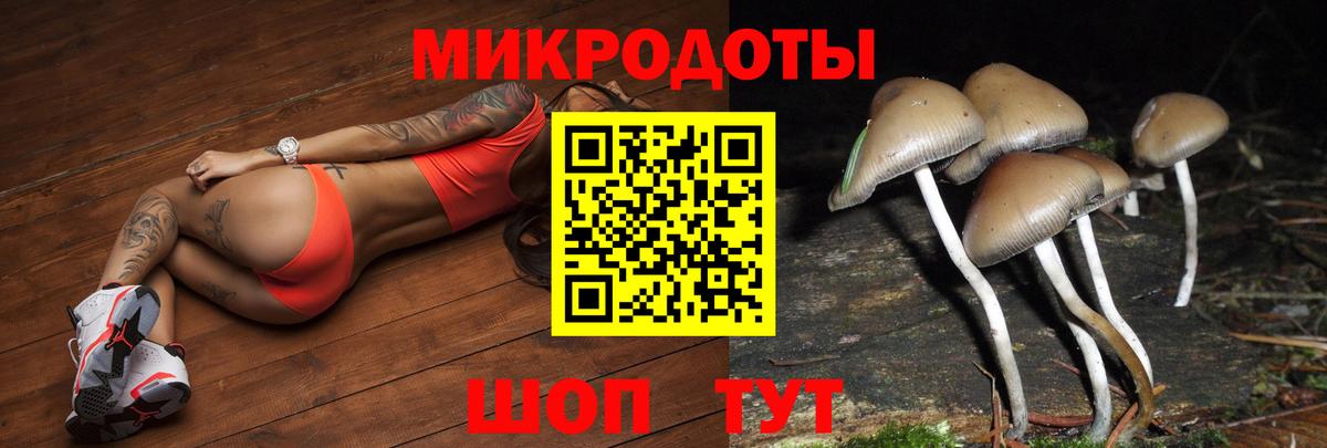 Химки  Галлюциногенные грибы Psilocybine cubensis  Галлюциногенные грибы GOLDEN TEACHER  Вход с VPN 